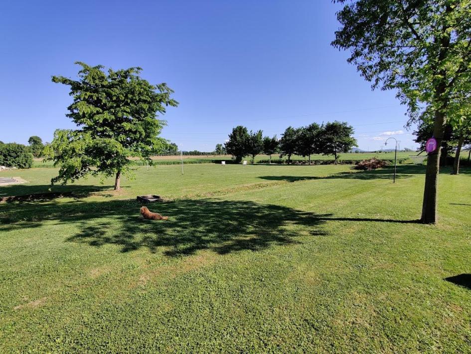 Agriturismo La Sophora Montegaldella Luaran gambar